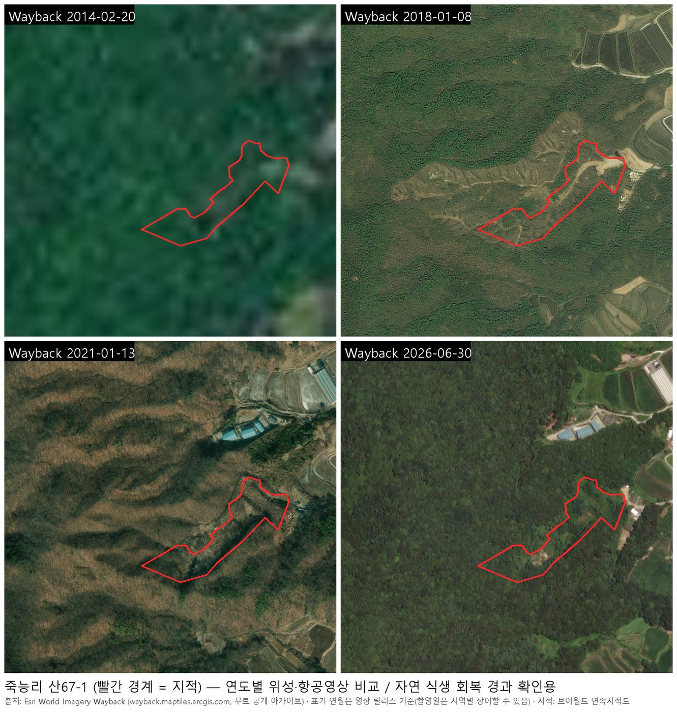 용인 처인구 원삼면 죽능리 산67-1 임야 22,017㎡(약 6,600평) 항공사진 — 평탄화 전후 비교