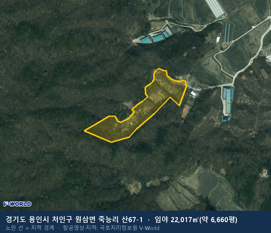 죽능리 산67-1 위치·지적 경계 지도 — 국토지리정보원 V-World 항공영상에 지적 경계 표시